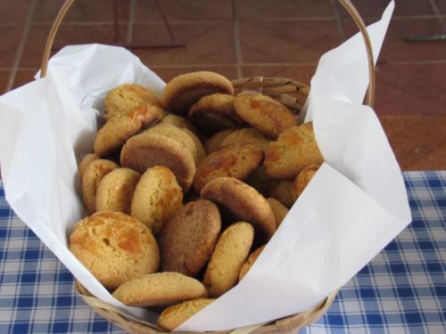 santoantonioivoturucaia cafedizimistas 01122019 008
