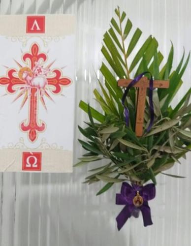 santoantonioivoturucaia DomingoRamos 14032020 032