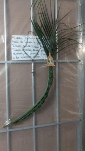 santoantonioivoturucaia DomingoRamos 14032020 036