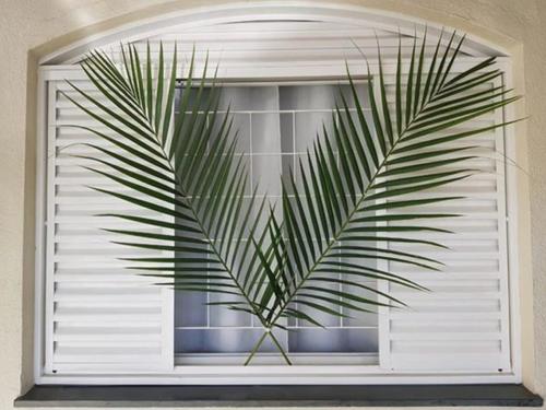 santoantonioivoturucaia DomingoRamos 14032020 037