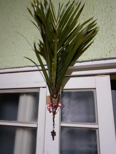 santoantonioivoturucaia DomingoRamos 14032020 038