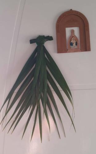 santoantonioivoturucaia DomingoRamos 14032020 047